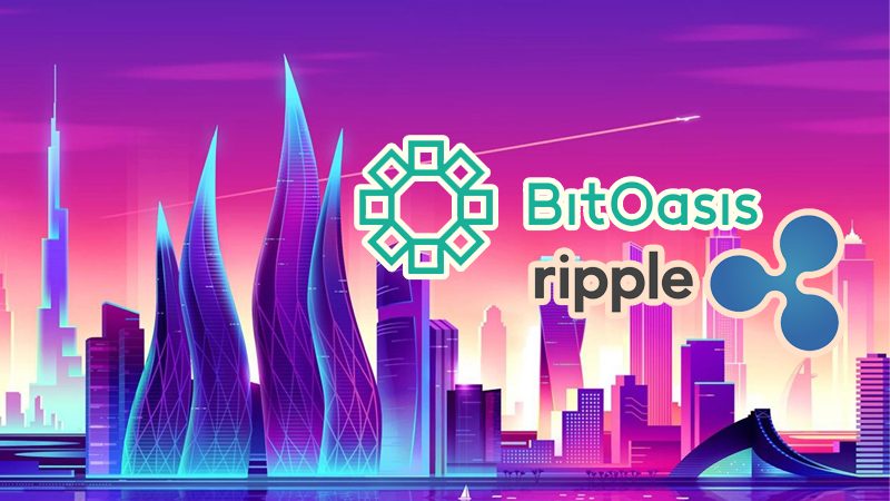 リップル（XRP）ドバイ最大手仮想通貨取引所「BitOasis」で取り扱い開始
