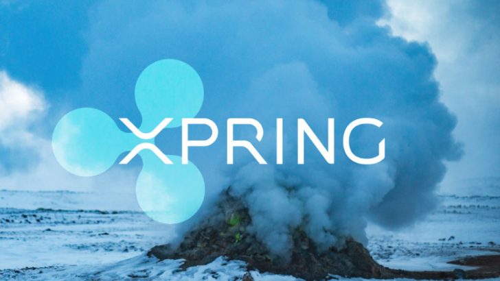 Ripple社がVCファンド「Xpring」を発表｜XRP関連企業を支援