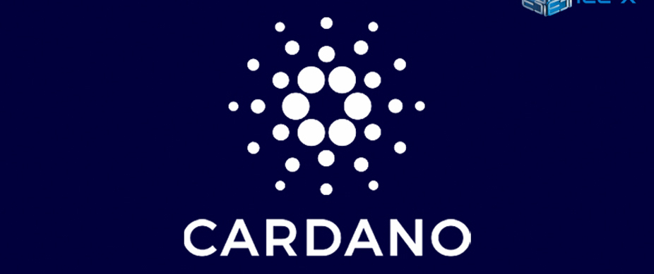 cardano_005