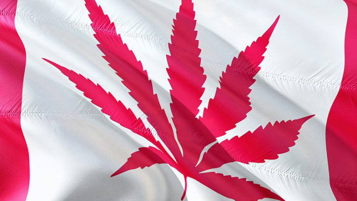 カナダの大麻合法化で「匿名仮想通貨」の使用量が増加する｜eToroアナリスト