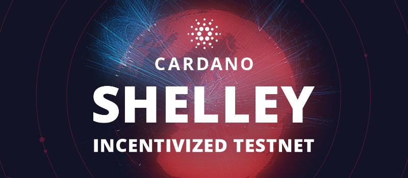 Cardano-Shelley-Testnet