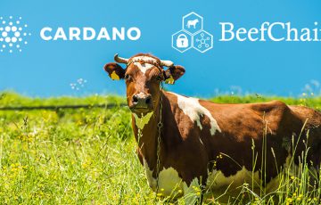 カルダノ開発企業：食品追跡会社「BeefChain」と提携｜サプライチェーン管理などで協力
