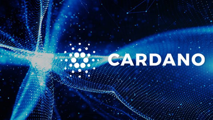 【Cardano/ADA】2020年内に「スマートコントラクト・ネイティブアセット」が登場