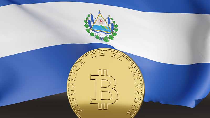 エルサルバドルの人権団体「政府のビットコイン購入・ATM設置」についての調査を依頼