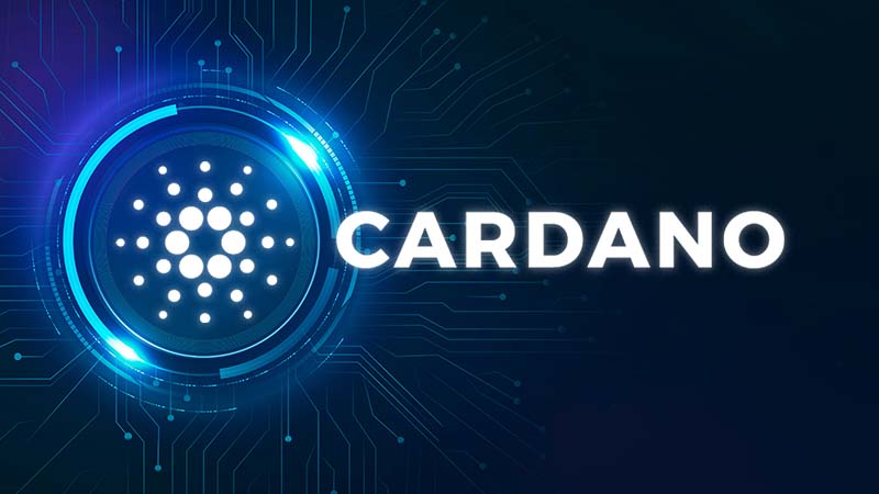 Cardano：ネットワーク拡大に向けた「調整プログラム」実施へ｜ブロックサイズは12.5％増に