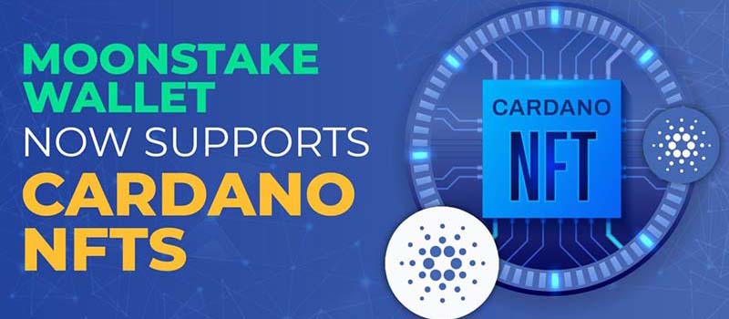 Moonstake-Wallet-Cardano-NFT-Supports
