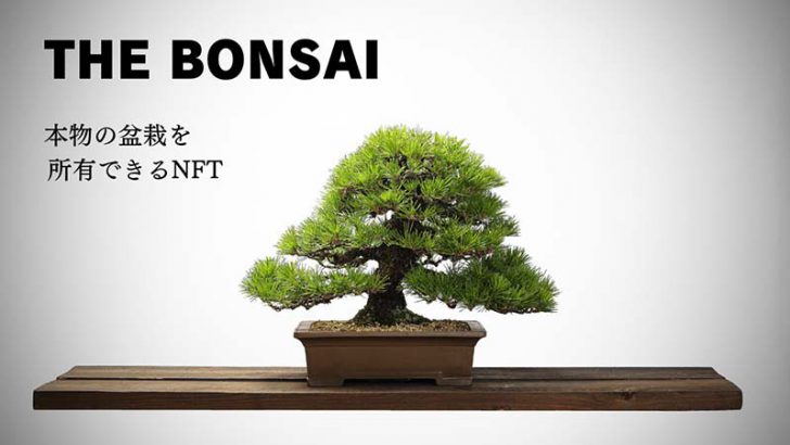 高級盆栽のオーナーになれる支援型NFTプロジェクト「THE BONSAI」開始