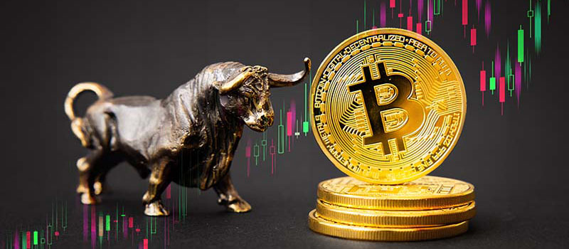 Bitcoin-BTC-Bull-Market