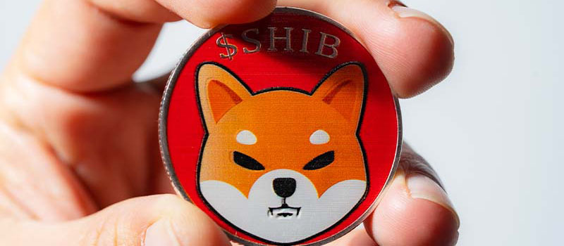 ShibaInu-SHIB-Coin