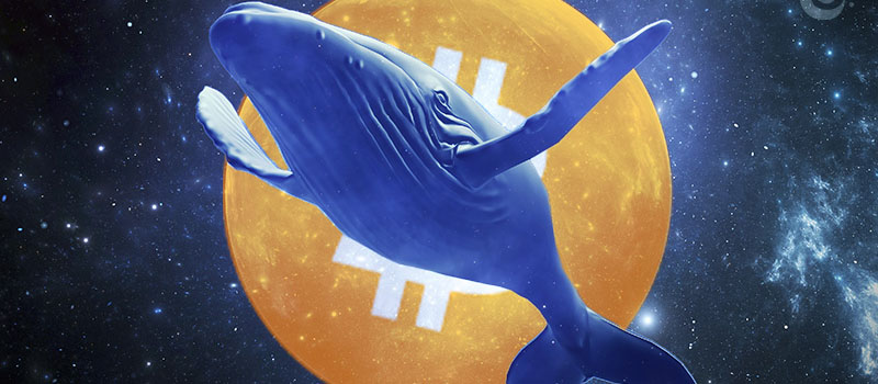 Bitcoin-BTC-Whale