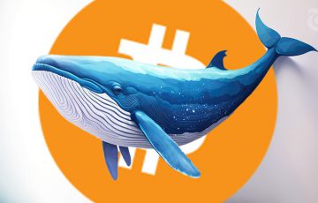謎のクジラが「ビットコイン保有量世界3位」に｜約3ヶ月で4,500億円相当のBTC蓄積