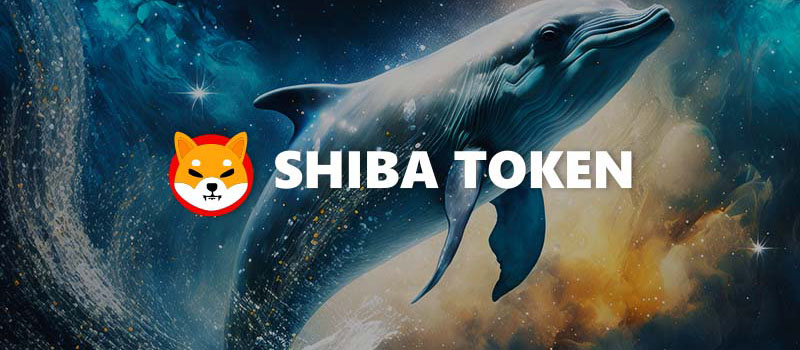 ShibaInu-SHIB-Dolphin