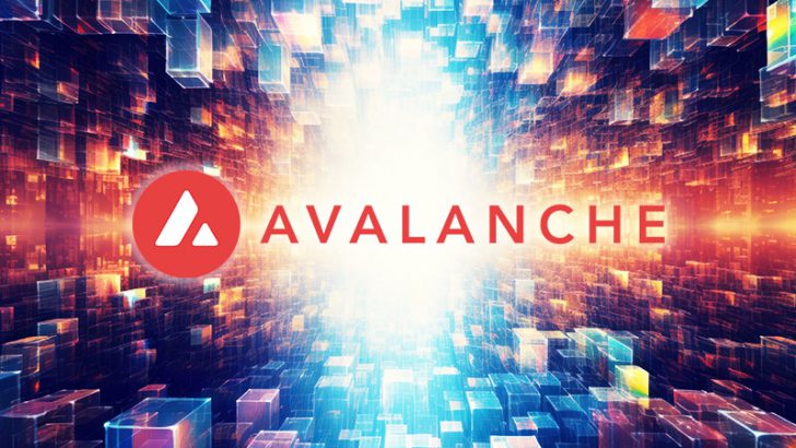 Ponta関連のWeb3プロジェクト「Avalancheサブネット」を採用