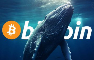 わずか1ヶ月で「600億円相当以上のビットコイン」を蓄積｜謎のクジラの正体に注目集まる