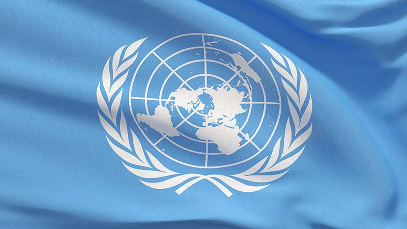 国連開発計画（UNDP）が「アルゴランド財団」と提携｜ブロックチェーン・アカデミー立ち上げ