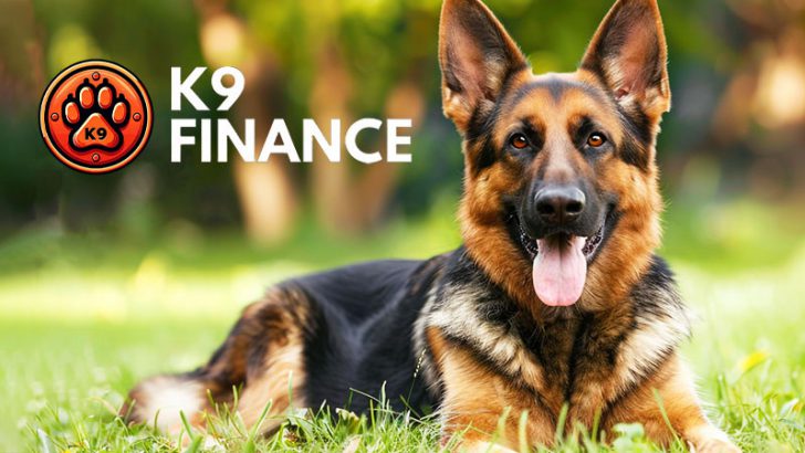 Shibarium上でリキッドステーキング「K9 Finance」のローンチ日が判明