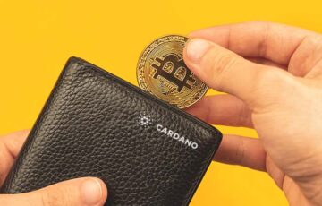 カルダノウォレット「Begin Wallet」BTCウォレットのインポート成功を報告