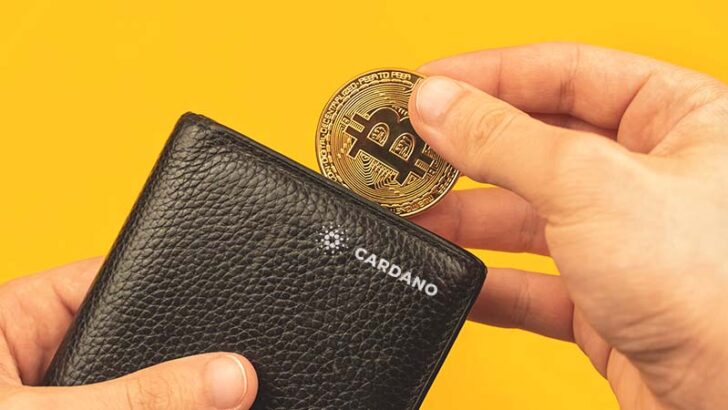 カルダノウォレット「Begin Wallet」BTCウォレットのインポート成功を報告