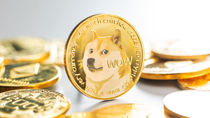 北欧初のドージコイン上場投資商品「Valour Dogecoin SEK ETP」上場