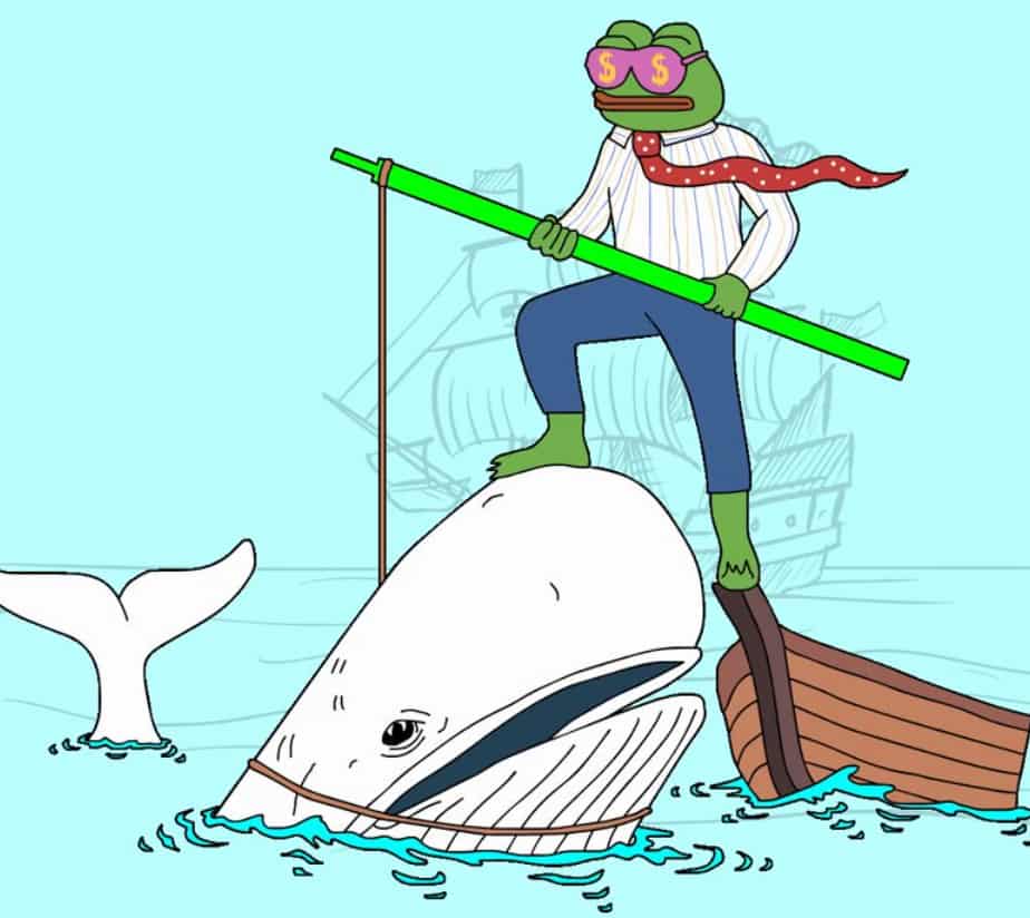 Wall Street Pepeの画像