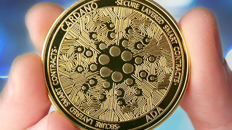 カルダノサイドチェーン「Midnight」NIGHTトークンエアドロップの詳細・請求方法が判明（Details Revealed: How to Claim Midnight’s NIGHT Token Airdrop）