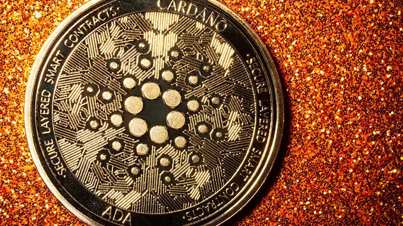 カルダノサイドチェーン「Midnight」NIGHTエアドロップの換算レートなど割当詳細を発表（Cardano Sidechain ‘Midnight’ Publishes NIGHT Token Airdrop Distribution and Rate Details）