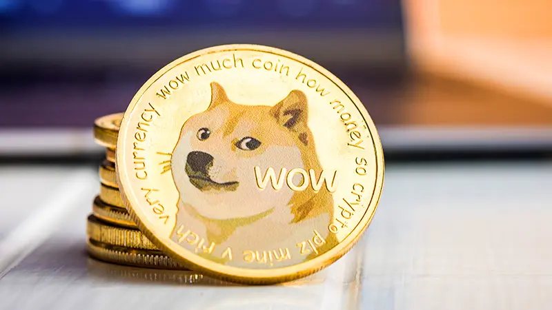 ドージコイン財団企業部門、サッカー古豪クラブの筆頭株主に｜ファン