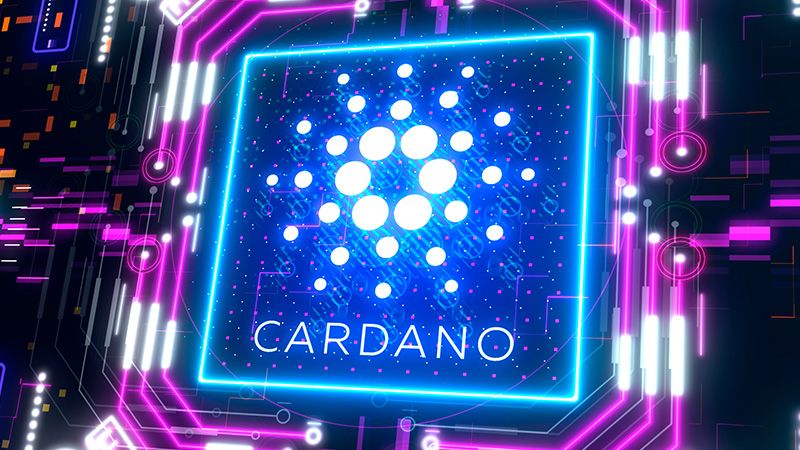 カルダノウォレット「Lace v1.31」公開｜トークンスワップ・ビットコイン完全統合など複数の改善