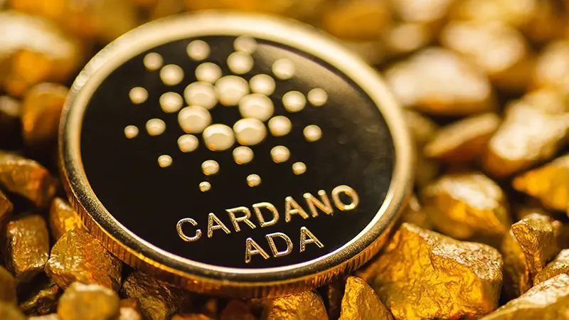 685種類以上の仮想通貨で決済可能「Cardano Card」正式リリースへ
