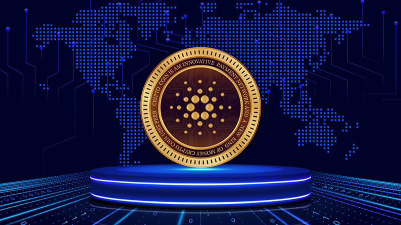 Midnight Networkが「Intersect」に正式加入 |カルダノエコシステム強化へ(Midnight Network Officially Joins “Intersect” | Strengthening the Cardano Ecosystem)