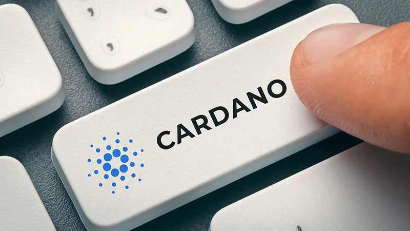 Midnightの$NIGHTトークン、受取手続きがより簡単に｜Yoroi Walletがアップデート報告