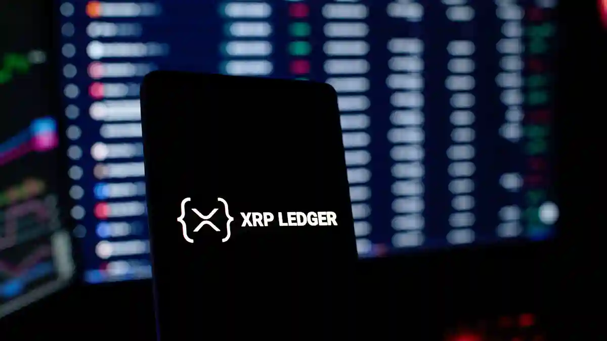 XRPレジャー「攻撃は保有者への贈与」リップル名誉CTOが先回り対策を提案
